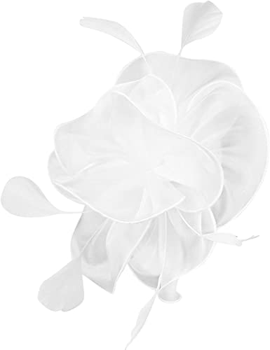 DNCG Cappello Fascinators for Donne Tea Party Fascia for Capelli Derby Matrimonio Fiore Fiore Rosso Fermacapelli Cappello Fantasia Foulard (Color : White, Size : One Size)