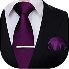 HISDERN Cravatte da Uomo Viola Elegante Classico Matrimonio Raso Cravatta e Fazzoletto da Taschino Fermacravatta