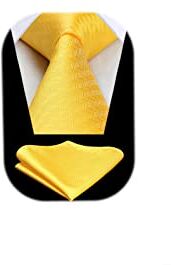 HISDERN Cravatta Giallo Uomo Cravatte e Fazzoletto Elegante Cravatta da Matrimonio Business