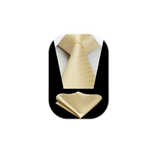 HISDERN Cravatte uomo Giallo da matrimonio e Fazzoletto Cravatte fantasia plaid elegante classica business cravatta set