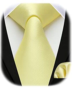 Enlision Cravatta Giallo Chiaro Cravatta Uomo Elegante Cravatta e Fazzoletto da Taschino Tinta Unita Classico Set Cravatta e Pochette de Matrimonio Festa