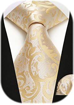 HISDERN Cravatta Uomo Beige Paisley Elegante Set Cravatta e Fazzoletto Champagan Cravatte Seta con Pochette per Matrimonio Festa Lavoro