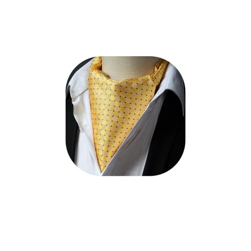 HISDERN Ascot Uomo Giallo Foulard Elegante Cravatta Ascots a Pois da Matrimonio