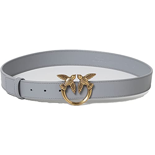 Pinko Love Berry Simply H2 Belt Vite, Cintura Donna, I47q_grigio Asfalto-antique Gold, XS