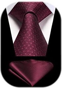 HISDERN Cravatta Vino Rosso Uomo Cravatte e Fazzoletto Elegante Cravatta da Matrimonio Business