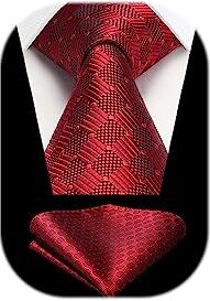 HISDERN Uomo Cravatta da Sposo Fazzoletto Cravatta da uomo & Pocket Square Set