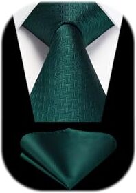 HISDERN Cravatta Verde Uomo Cravatte e Fazzoletto Elegante Cravatta da Matrimonio Business