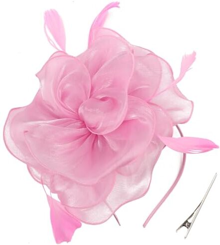 DRESHOW Fascinators per Capelli da Donna Fascinator Chapeau Nuptiale Plumes Cheveux Clip Accessoires Cocktail Royal Ascot