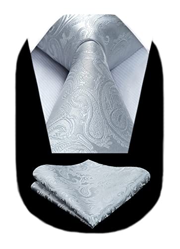 HISDERN Cravatta Grigia Argento Paisley Cravatta Uomo Elegante Set Cravatte Seta e Fazzoletto con Pochette Classiche per Matrimonio Festa