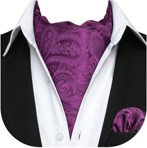 HISDERN Ascot Uomo Seta Viola Motivo Cachemire Elegante Cravatta Ascot e Fazzoletto da Taschino Formale Foulard Fazzoletto da Collo Uomo