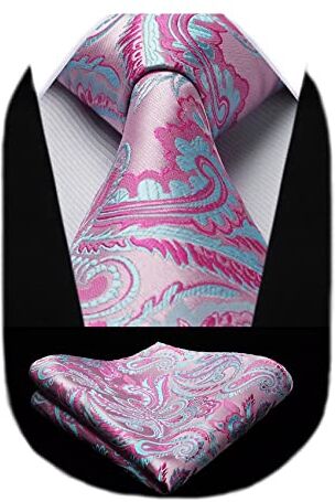 HISDERN Cravatta Uomo Rosa Cravatta Floreale Paisley Cravatte da Sposa Uomo Cravatte Formal Set