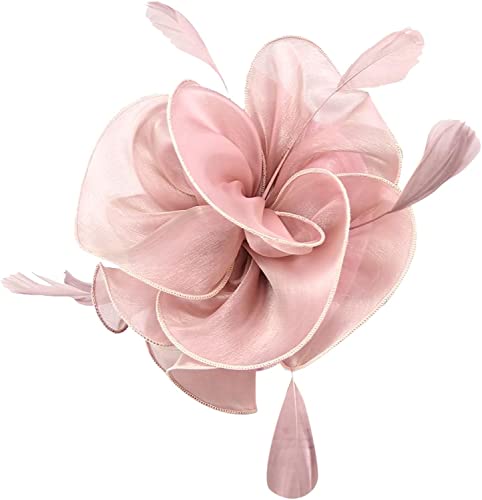 DNCG Cappello Fascinators for donne Tea Party Fascia for capelli Derby Matrimonio Fiore Fiore rosso Fermacapelli Cappello fantasia Foulard (Color : Watermelon Red, Size : One Size)