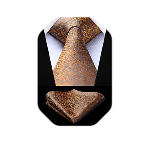 HISDERN Controllare Wedding Party Tie Fazzoletto Cravatta da uomo & Set tascabile