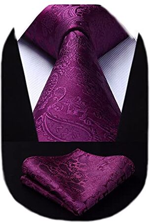 HISDERN Cravatta Viola Paisley Cravatta Uomo Elegante Set Cravatte Seta e Fazzoletto con Pochette Classiche per Matrimonio Festa Lavoro