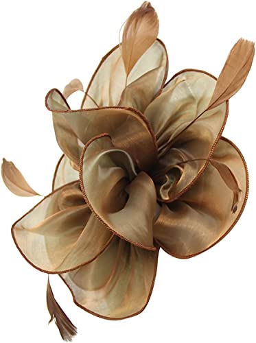 DNCG Cappello Fascinators for Donne Tea Party Fascia for Capelli Derby Matrimonio Fiore Fiore Rosso Fermacapelli Cappello Fantasia Foulard (Color : Coffee, Size : One Size)