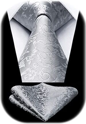 HISDERN Cravatta Grigio Argento Paisley Cravatta Uomo Elegante Set Cravatte Seta e Fazzoletto da Taschino Classiche per Matrimonio Festa