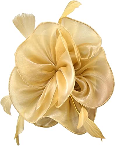 DNCG Cappello Fascinators for donne Tea Party Fascia for capelli Derby Matrimonio Fiore Fiore rosso Fermacapelli Cappello fantasia Foulard (Color : Gold, Size : One Size)