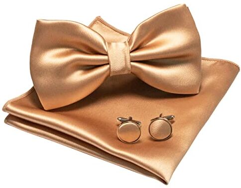 JEMYGINS papillon da uomo champagne gold5 papillon e fazzoletto in raso con set di gemelli