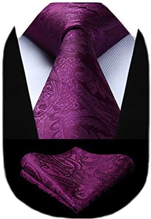 HISDERN Cravatta Viola Paisley Cravatta Uomo Elegante Set Cravatte Seta e Fazzoletto da Taschino Classiche per Matrimonio Festa Lavoro