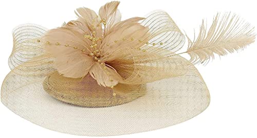 DNCG Fascinator Fermaglio for capelli Bombetta Piuma Fiore Velo Cappello for festa nuziale Cappello da tè Fermaglio for capelli Cappello fantasia Foulard (Color : Gold, Size : One Size)