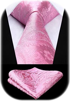 HISDERN Cravatta Rosa Paisley Cravatta Uomo Elegante Set Cravatte Seta e Fazzoletto da Taschino Classiche per Matrimonio Festa Lavoro