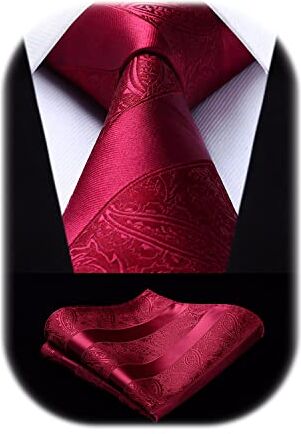 HISDERN Cravatta Uomo Elegante e Fazzoletto Cravatta Bordeaux Paisley Set Cravatte Seta con Pochette Rossa per Matrimonio Festa Lavoro