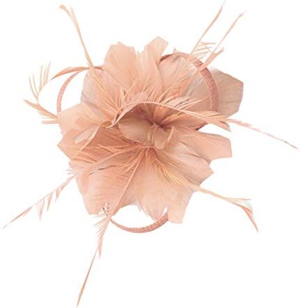 Generic Fascinator Cappelli da donna con piuma, cappello in organza, cappello a rete, velo, fascia da donna, accessori per feste, copricapo da sposa, accessorio vintage