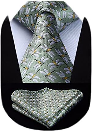 HISDERN Cravatte uomo verde Fazzoletto fantasia libellula Cravatta da matrimonio business elegante cravatta set