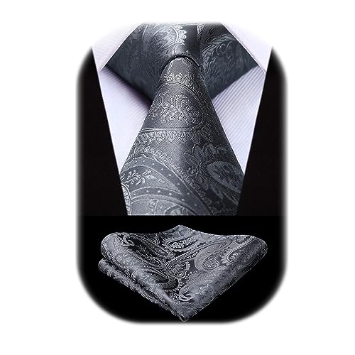 HISDERN Cravatta Grigia Paisley Cravatta Uomo Elegante Set Cravatte Seta e Fazzoletto con Pochette Classiche per Matrimonio Festa Lavoro