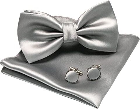 JEMYGINS Papillon da uomo Silver5 Papillon in raso e fazzoletto da taschino con gemelli