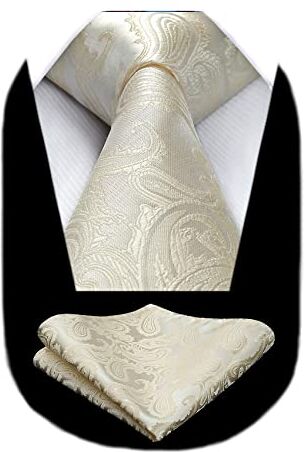 HISDERN Cravatta Beige Paisley Cravatta Uomo Elegante Set Cravatte Seta e Fazzoletto da Taschino Classiche per Matrimonio Festa Lavoro