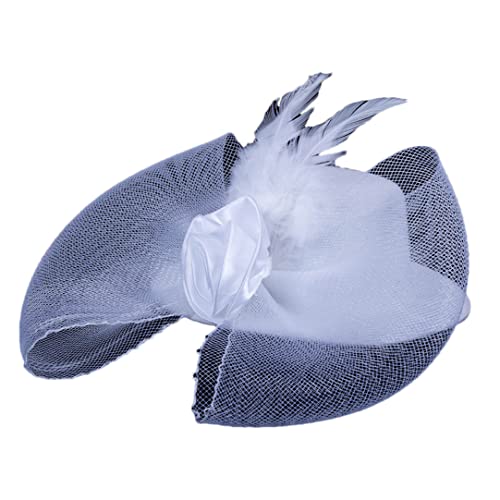 Dndrdhfb Cerchietto per capelli da donna, con piume massicce e cerchio, in rete, colore: bianco