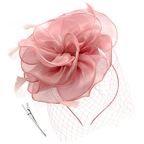 DRESHOW Fascinators per Capelli da Donna Fascinator Chapeau Nuptiale Plumes Cheveux Clip Accessoires Cocktail Royal Ascot