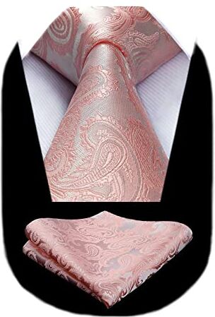 HISDERN Cravatta Rosa Paisley Uomo Elegante Set Cravatta e Fazzoletto Classiche Cravatte Seta con Pochette per Matrimonio Festa Lavoro