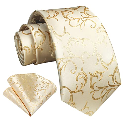 HISDERN Cravatta Uomo Elegante e Fazzoletto Cravatta Beige Paisley Set Cravatte Seta con Pochette Floreale per Matrimonio Festa Lavoro