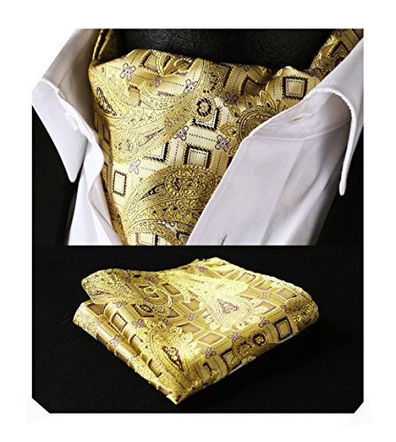 HISDERN Ascot giallo marrone Uomo Paisley Fazzoletto Floreale Cravatta da Matrimonio Elegante Foulard Business Partito Classico Cravatte Set