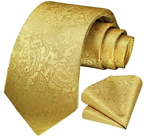 HISDERN Cravatta Uomo Oro Elegante Set Cravatta e Fazzoletto Paisley Cravatte Seta con Pochette Floreale per Matrimonio Festa Lavoro