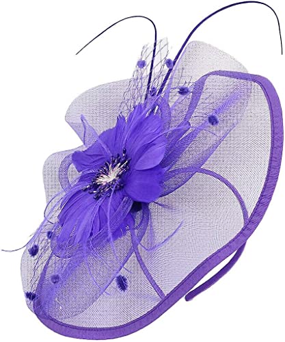 DNCG Fascinators Hat Tea Party Copricapo Nastri Piume su una fascia e una fascia rosa Foulard for capelli grigi (Color : Purple, Size : One Size)