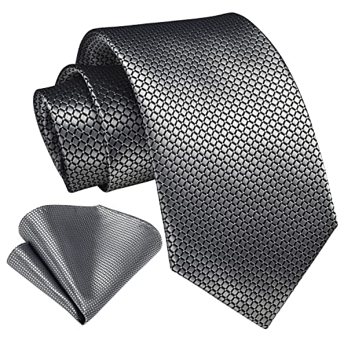 HISDERN Uomo Cravatta da Sposo Fazzoletto Cravatta da uomo & Pocket Square Set