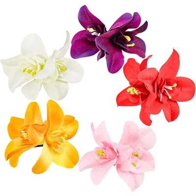 Perodlly 5 fermagli per capelli con fiori hawaiani da 3, 5 pollici realistici fiori gemelli fermagli per capelli hawaiani accessori per le vacanze al mare per colorati per donne e ragazze. Perodlly 5 fermagli per capelli con fiori hawaiani da 3, 5 pollici realistici fiori gemelli fermagli per capelli hawaiani accessori per le vacanze al mare per colorati per donne e ragazze.
