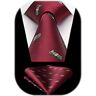 HISDERN Cravatta Vino Rosso Uomo Fazzoletto Cravatte Fantasia Soldi da Matrimonio Set Cravatta e Pochette Elegante