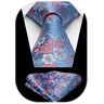 HISDERN Cravatta da sposa da uomo Fazzoletto Party Business Cravatta Paisley e set di fazzoletti da taschin0