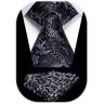 HISDERN Cravatta da sposa da uomo Fazzoletto Party Business Cravatta Paisley e set di fazzoletti da taschin0