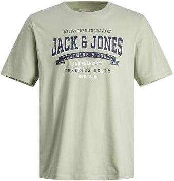 Jack & Jones JJELOGO TEE SS O-NECK 2 COL 23/24 PLS, T-Shirt Uomo, Grigio (Desert Sage), 3XL