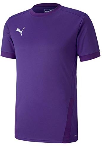 Puma Teamgoal 23 Jersey, Maglietta a Maniche Corte Uomo, Porpora (Prism Violet-Tillandsia Purple), M