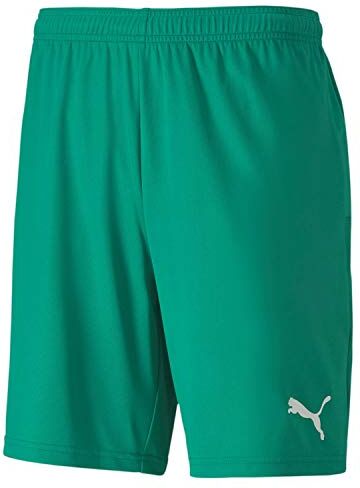 Puma Teamgoal 23 Knit, Pantaloncini Uomo, Verde (Pepper Green), Xxl