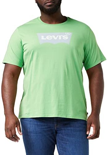 Levis Graphic Crewneck Tee, Uomo, Batwing Logo Peppermint, XS