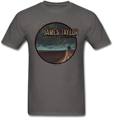 Taylor T-Shirt # S Unisex Grey # 2018 Tour Country Road