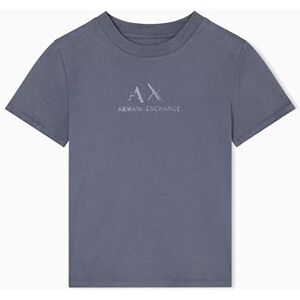 Armani Maglietta da Donna a Maniche Corte con Logo Stampato Regular Boxy Fit, Taglia L, Colore Grigio, Chill Steel, L Armani Maglietta da Donna a Maniche Corte con Logo Stampato Regular Boxy Fit, Taglia L, Colore Grigio, Chill Steel, L
