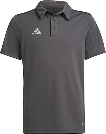 Adidas Entrada 22 Short Sleeve Polo Shirt Maglietta, Team Grey Four, 13-14 anni Unisex Bambini e ragazzi